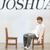 Questions - Joshua