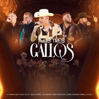 Los Tres Gallos - La Banda Que Hacía Falta & Nico Flores y Su Banda Puro Mazatlán & Jorge Cordero & Israel Valdez