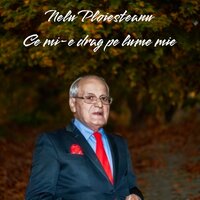 Ce mi-e drag pe lume mie - Nelu Ploiesteanu