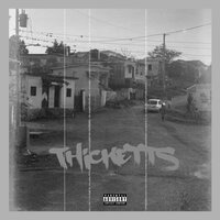 Thicketts - absolute