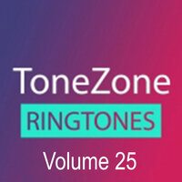 Return Of The Jedi - Sunfly House Band