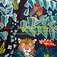 Por Ti Mi Corazon (Cancion No 2 ) - Jonathan Richards