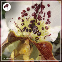 I Just Want You To Smile - Dancing on Lego