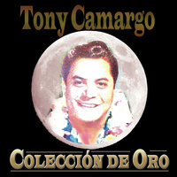 Así Eres Tu - Tony Camargo