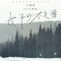 我等的不是雪 - 王超然 & DJ九零