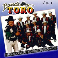 Ritmo Que Jala - Banda Toro