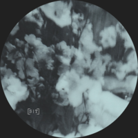 Gaia - Polygonia & Fjäder