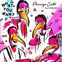 What You Want - Flamingo Cartel & Dj Twister & OMMIEH