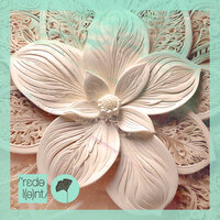 Maisha - Matan Caspi & D-Formation