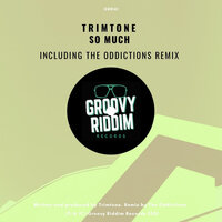 So Much - Trimtone & The Oddictions