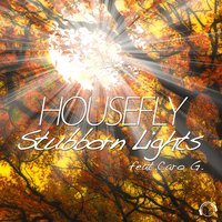 Stubborn Lights - Housefly & Caro G. & Housefly feat. Caro G.