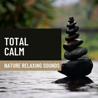 Zen Meditation (Canyon Sound) - Nature Queen