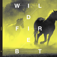 Wildfire - BT