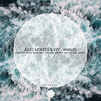 Whales - Julio Montes & Ezy & Pavlin Petrov