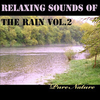 Rain Garden - pure nature