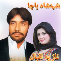 Da Pasarli Gulano Ta Goram - Shahanshah Bacha & Nazia iqbal