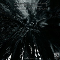 Common Troubles - Rakoon