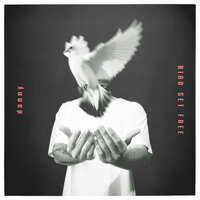 Bird Set Free - Danny