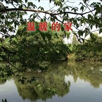 温暖的家 - 佳佳