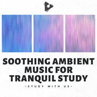 Delighted Sands - Study With Us & Study Alpha Waves