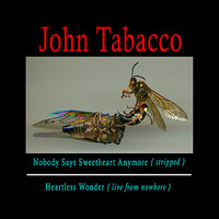 Nobody Says Sweetheart Anymore - John Tabacco