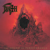 Flesh And The Power It Holds - Death