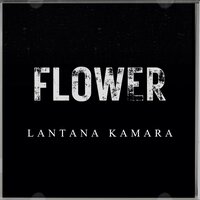 Vanokoromora - 3Dots Entertainment & Lantana Kamara & Makumbe Productions