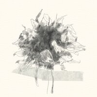 Cliché(with.Tracy) - Wanderer & Tracy