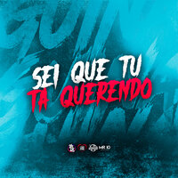 Sei Que Tu Ta Querendo - DJ Guina & MC VICK MORANGUINHO & MC K9