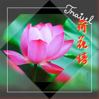 荷花情 - 高音敏子