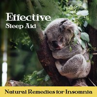 Calming Dreams - Deep Sleep Hypnosis Masters & Insomnia Music Universe