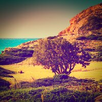 Rinzai (Ocean Waves, Water, Calm Waves) - Meditation Followers