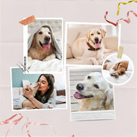 Tranquil (Dogs on Couch) - Dog Music Hour