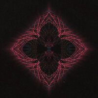 Never Giving Up - KDYN