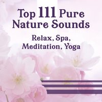 Inner Peace - Massage Spa Academy