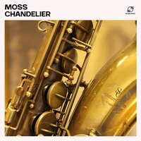 Tranquil Reflections - Jazz Music Zone & Jazz for Work & Summer Jazz Chillout & Sunset Jazz Society