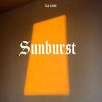 Without You - DJ Cam & DJ Science