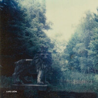 Artifakts - Luis Leon