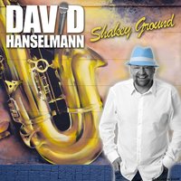Shakey Ground - David Hanselmann