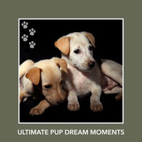 Truest Peace - Relaxing Dog Music