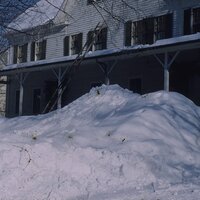 Sad Harry - Luis Leon & Ly Cheng