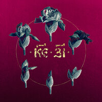 Кесарь - 25/17