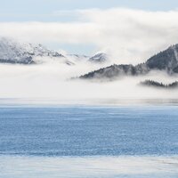 Leaving - Warmth & Human Is Alive