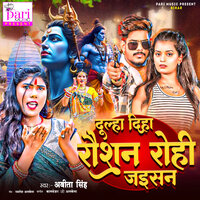 Dulha Diha Roshan Rohi Jaisan - Abita Singh