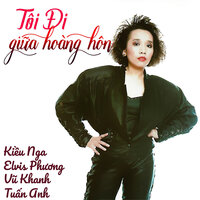 Tôi đi giữa hoàng hôn - Tuan Anh
