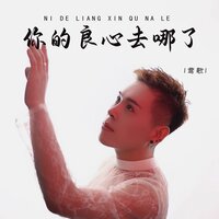 你的良心去哪了 - 莺歌 & 无名