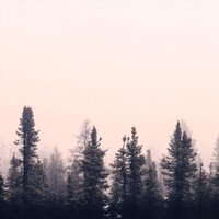 Inner Peace - Human Is Alive