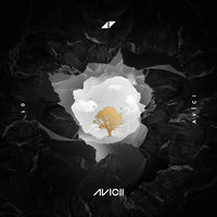 What Would I Change It To - Avicii & Aluna