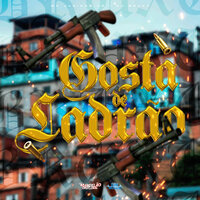 Gosta de Ladrão - Mc Juninho Jr & DJ Bruxu