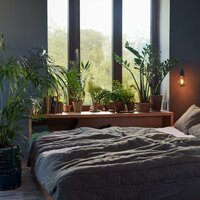 Los Tonos Reconfortantes Se Mantienen Suaves - Sueños de mandalas & Sueños dichosos & Así Soñando